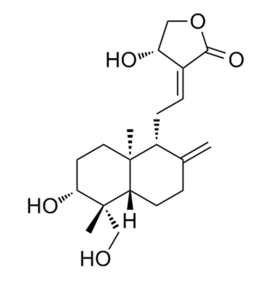 Usine d'andrographolide en Chine