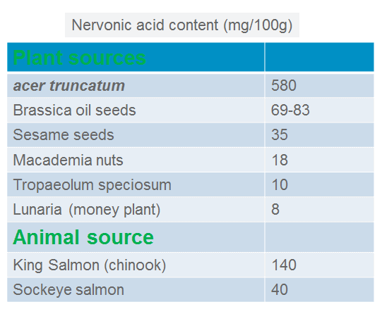 Poudre d'acide nervonique