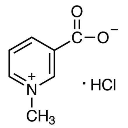 Chlorhydrate de trigonelline